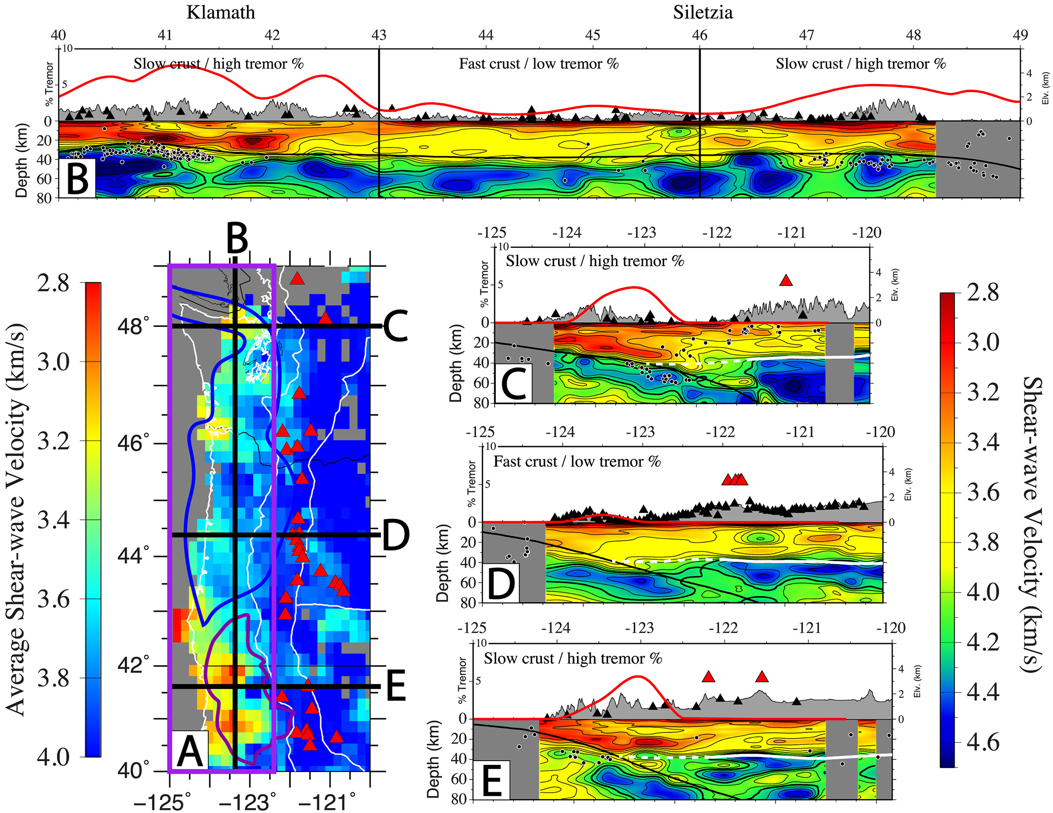 Shear wave velocity (Vs) structure of the Cascadian margin. (a) Average Vs in lower 10 km of the crust. Purple box: extent of areal average (Figure 3). Other symbols described in Figure 1. (b) Cross section along the Cascadia forearc (longitude: −123.4°). Black vertical lines: transition between Klamath (south), Siletzia (central), and Siletzia/Olympic Mountains (north). Lower crustal low-velocity zones (LVZs) beneath the northern and southern margin of the Cascadia forearc correlate with increased seismicity (black dots) and nonvolcanic tremor (NVT) density (red lines on topography; from Figure 1b). (c) Cross section along 48°N: LVZ parallels subducting plate (black line) and correlates with high NVT density. (d) Cross-section along 44.4°N. The Siletzia terrane shows little internal seismic variation, and tremor density is low. (e) Cross section along 41.6°N. LVZ and NVT correlation similar to that observed in the north. Black triangles: seismic stations (within 30 km of line). White line: estimated Moho depth; black line: slab surface (McCrory et al., 2012).
