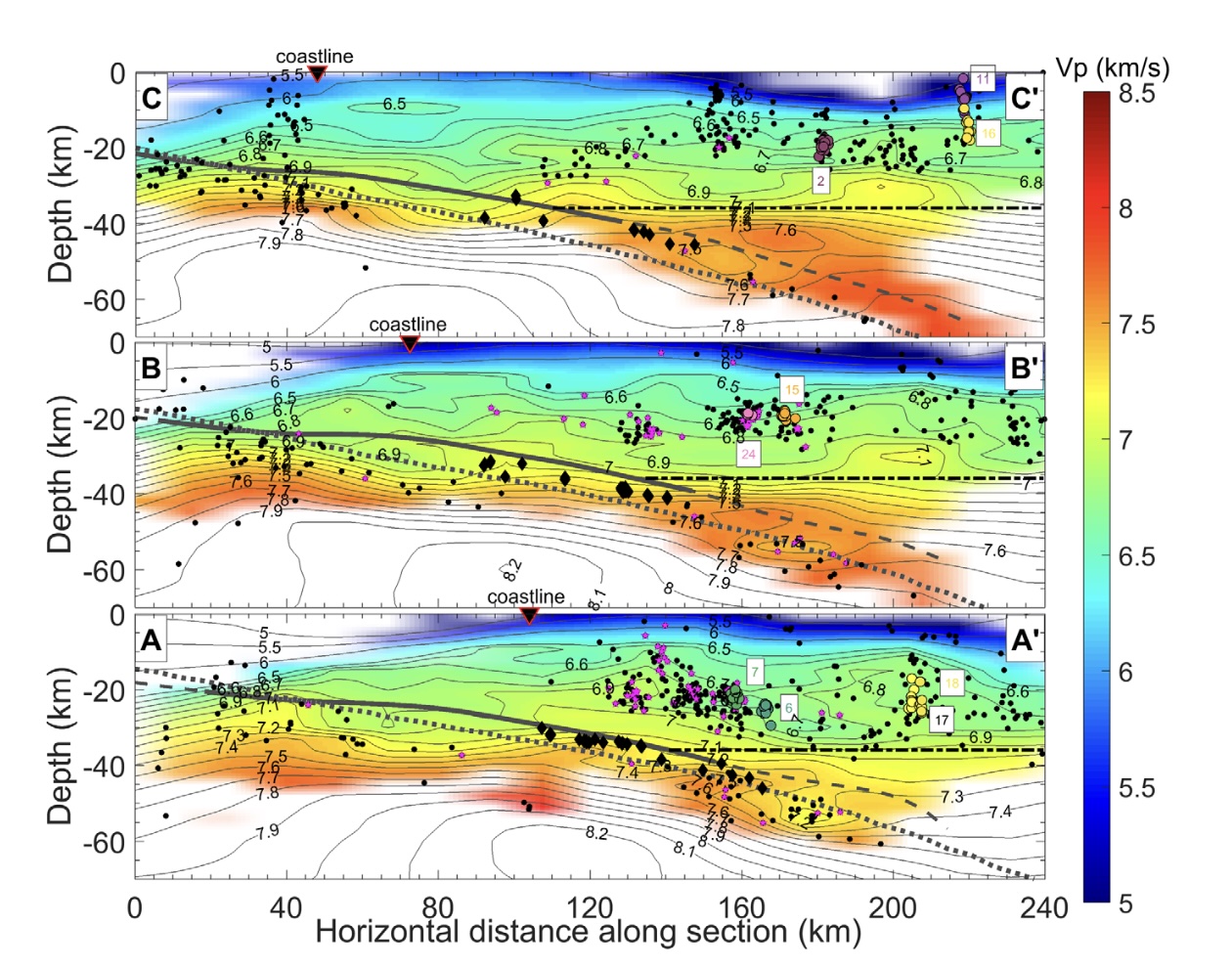 Model V_p along the sections AA’, BB’, and CC’. These profiles are taken parallel to the linear POLARIS array. Black diamonds are LFE hypocenters, black and pink dots are relocated earth-
quakes within 10 km of the cross section, with pink dots identifying previously uncataloged earthquakes detected by the cross-station algorithm. The thick gray line is the plate interface model of Audet et al. (2010), and dashed gray line is the plate interface model of McCrory et al. (2012). The horizontal dash-dot line is the nominal Moho depth of 36 km. Inverted
black triangle marks west Vancouver Island coastline.
